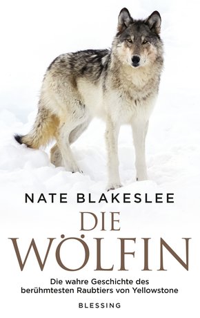 Die Wölfin (eBook, ePUB)