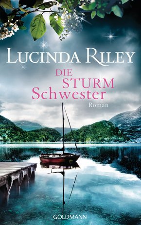 Die Sturmschwester (eBook, ePUB)