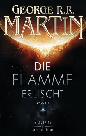 Die Flamme erlischt (eBook, ePUB)