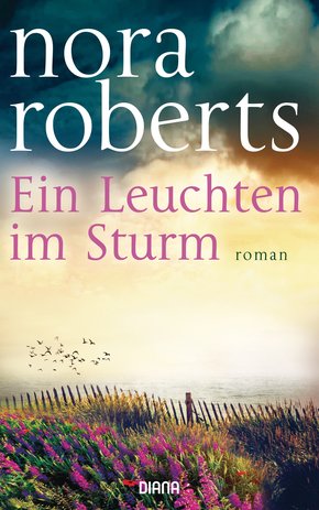 Ein Leuchten im Sturm (eBook, ePUB)