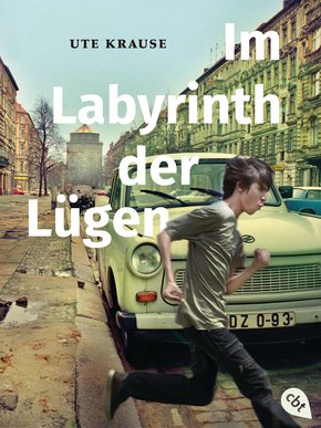 Im Labyrinth der Lügen (eBook, ePUB)