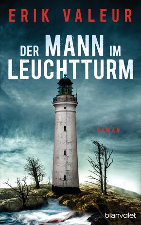 Der Mann im Leuchtturm (eBook, ePUB)