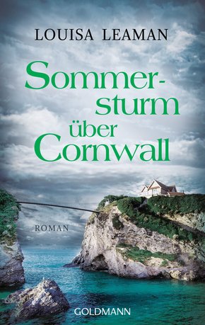 Sommersturm über Cornwall (eBook, ePUB)