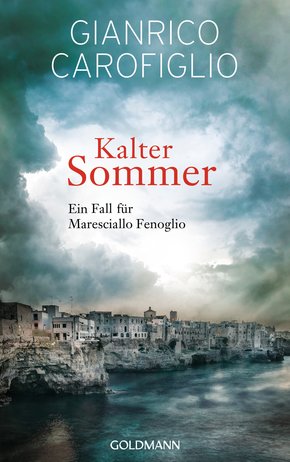 Kalter Sommer (eBook, ePUB)