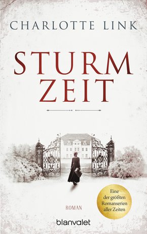 Sturmzeit (eBook, ePUB)