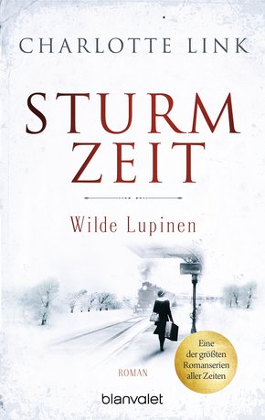 Sturmzeit - Wilde Lupinen (eBook, ePUB)