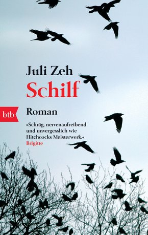 Schilf (eBook, ePUB)