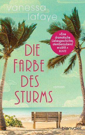 Die Farbe des Sturms (eBook, ePUB)