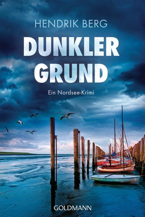 Dunkler Grund (eBook, ePUB)