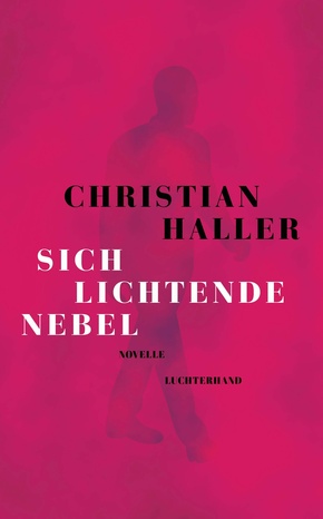 Sich lichtende Nebel (eBook, ePUB)