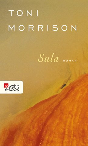 Sula (eBook, ePUB)
