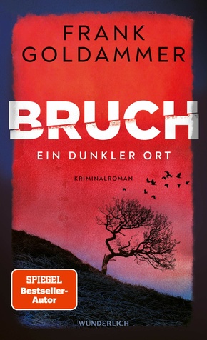Bruch (eBook, ePUB)