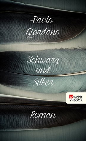 Schwarz und Silber (eBook, ePUB)