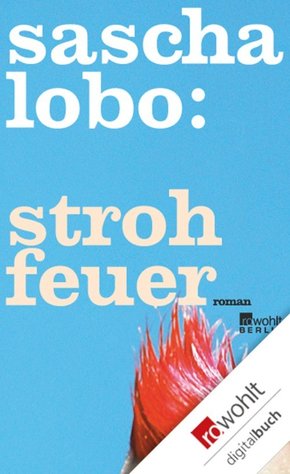 Strohfeuer (eBook, ePUB)