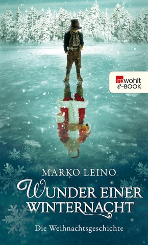 Wunder einer Winternacht (eBook, ePUB)