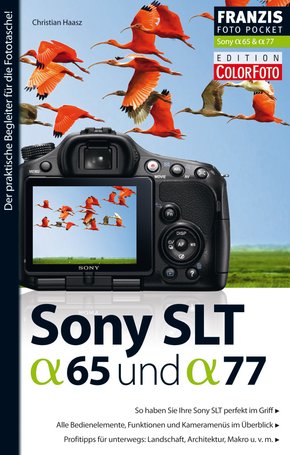 Foto Pocket Sony SLT Alpha 65 und SLT Alpha 77 (eBook, PDF)