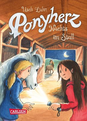 Ponyherz 6: Nachts im Stall (eBook, ePUB)