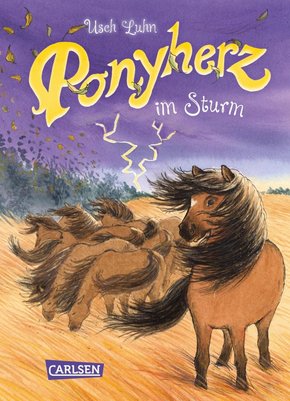 Ponyherz 14: Ponyherz im Sturm (eBook, ePUB)