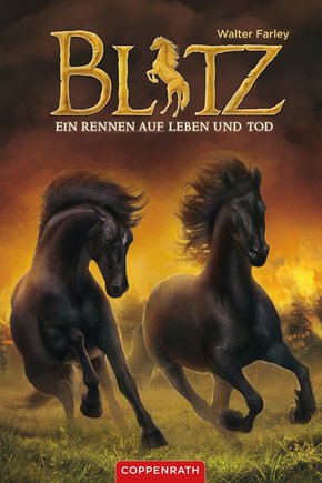Blitz (Band 4) (eBook, ePUB)