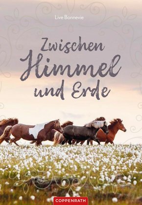 Zwischen Himmel und Erde (eBook, ePUB)