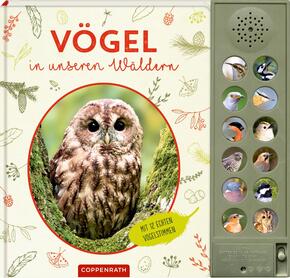 Vögel in unseren Wäldern