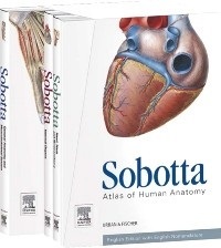 Sobotta Atlas of Human Anatomy