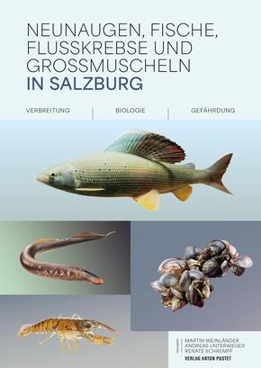 Neunaugen, Fische, Flusskrebse und Großmuscheln in Salzburg