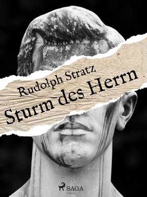 Sturm des Herrn (eBook, ePUB)