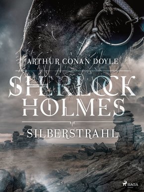 Silberstrahl (eBook, ePUB)