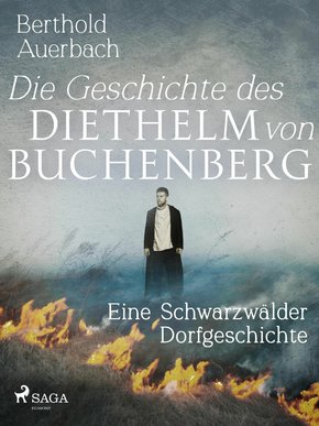 Die Geschichte des Diethelm von Buchenberg. Eine Schwarzwälder Dorfgeschichte (eBook, ePUB)