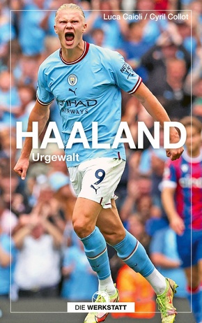 Haaland (eBook, ePUB)