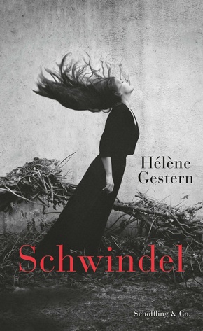 Schwindel (eBook, ePUB)