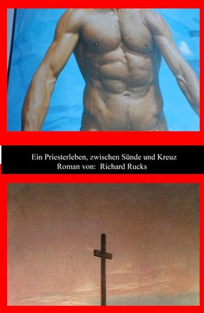 Ein Priesterleben, zwischen Sünde und Kreuz (eBook, ePUB)