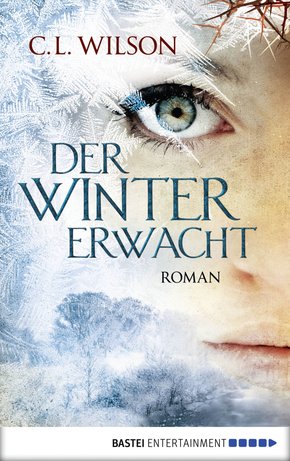 Der Winter erwacht (eBook, ePUB)