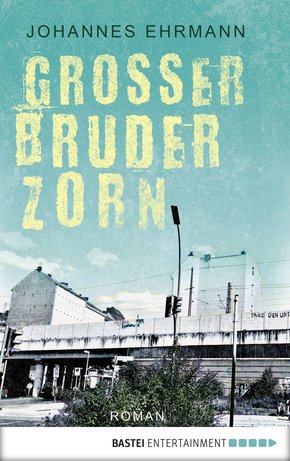 Großer Bruder Zorn (eBook, ePUB)