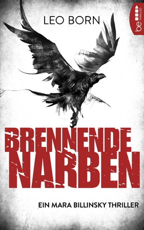 Brennende Narben (eBook, ePUB)