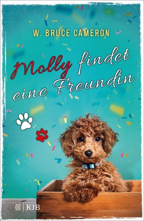 Molly findet eine Freundin (eBook, ePUB)