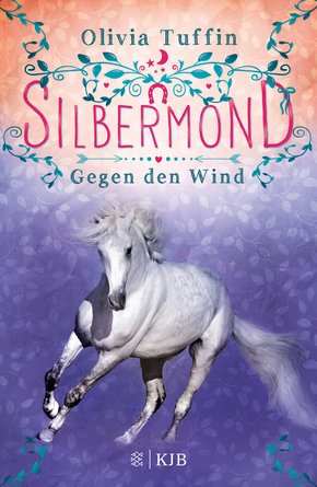 Silbermond: Gegen den Wind (eBook, ePUB)
