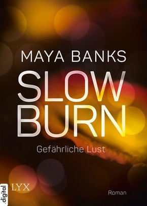 Slow Burn - Gefährliche Lust (eBook, ePUB)