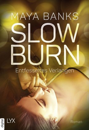 Slow Burn - Entfesseltes Verlangen (eBook, ePUB)