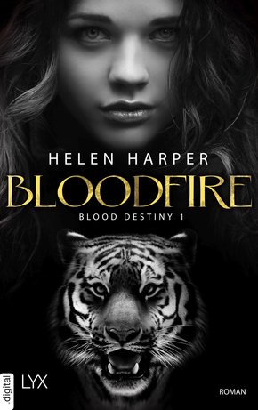 Blood Destiny - Bloodfire (eBook, ePUB)