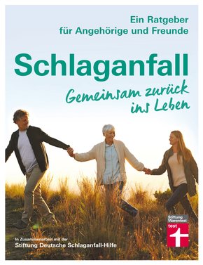 Schlaganfall. Gemeinsam zurück ins Leben (eBook, PDF)