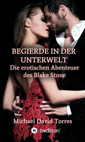 Begierde in der Unterwelt - Die erotischen Abenteuer des Blake Stone (eBook, ePUB)