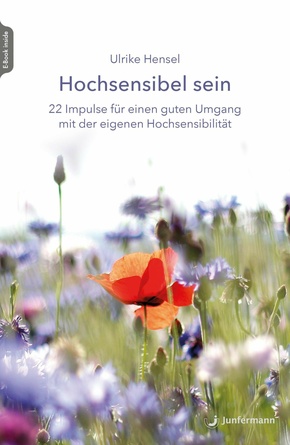 Hochsensibel sein (eBook, ePUB)