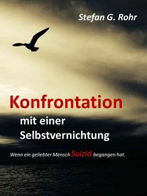 Konfrontation mit einer Selbstvernichtung (eBook, ePUB)