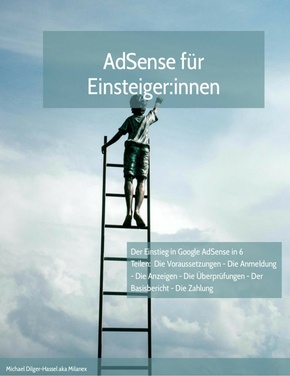 AdSense für Einsteiger:innen (eBook, ePUB)