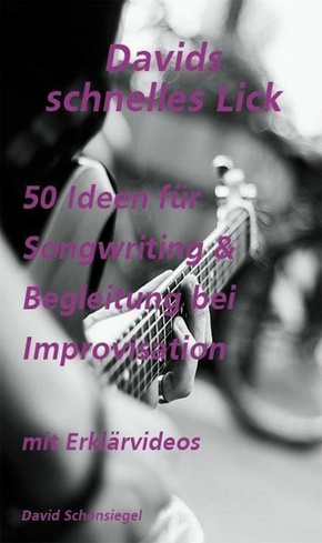 Davids schnelles Lick (eBook, ePUB)