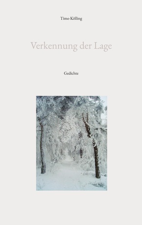 Verkennung der Lage