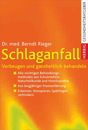 Schlaganfall (eBook, ePUB)