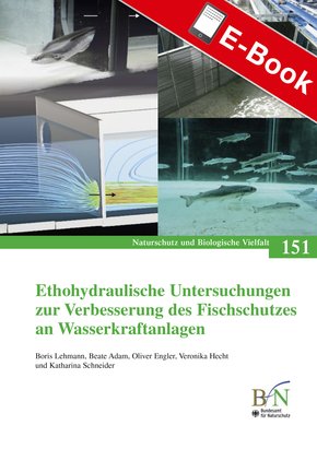 Ethohydraulische Untersuchungen zur Verbesserung des Fischschutzes an Wasserkraftanlagen (eBook, PDF)